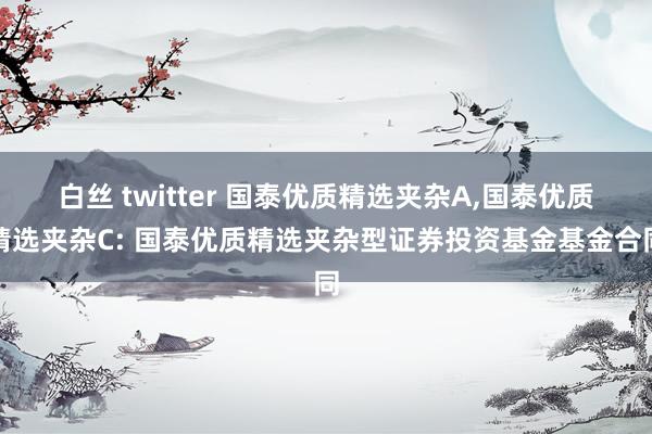 白丝 twitter 国泰优质精选夹杂A,国泰优质精选夹杂C: 国泰优质精选夹杂型证券投资基金基金合同