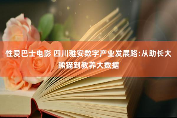 性爱巴士电影 四川雅安数字产业发展路:从助长大熊猫到教养大数据