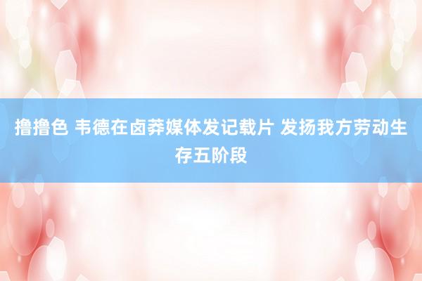 撸撸色 韦德在卤莽媒体发记载片 发扬我方劳动生存五阶段