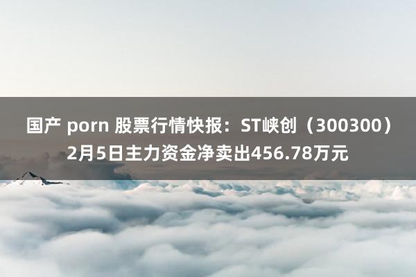 国产 porn 股票行情快报：ST峡创（300300）2月5日主力资金净卖出456.78万元