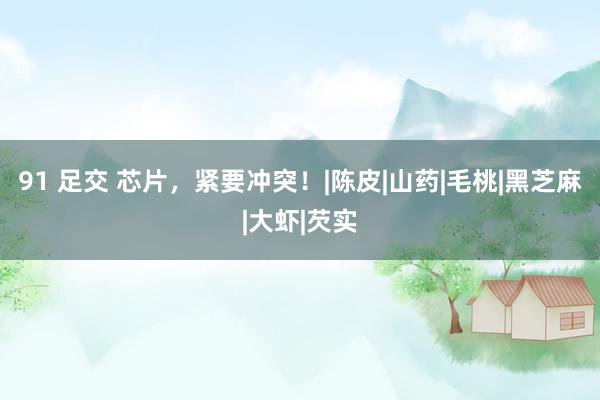 91 足交 芯片，紧要冲突！|陈皮|山药|毛桃|黑芝麻|大虾|芡实