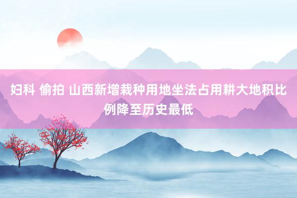 妇科 偷拍 山西新增栽种用地坐法占用耕大地积比例降至历史最低
