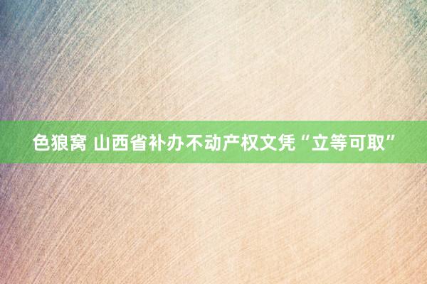 色狼窝 山西省补办不动产权文凭“立等可取”