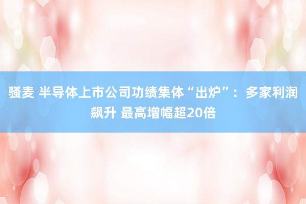 骚麦 半导体上市公司功绩集体“出炉”：多家利润飙升 最高增幅超20倍