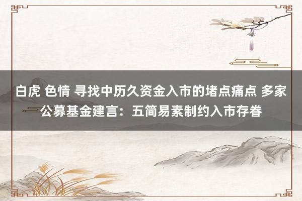 白虎 色情 寻找中历久资金入市的堵点痛点 多家公募基金建言：五简易素制约入市存眷