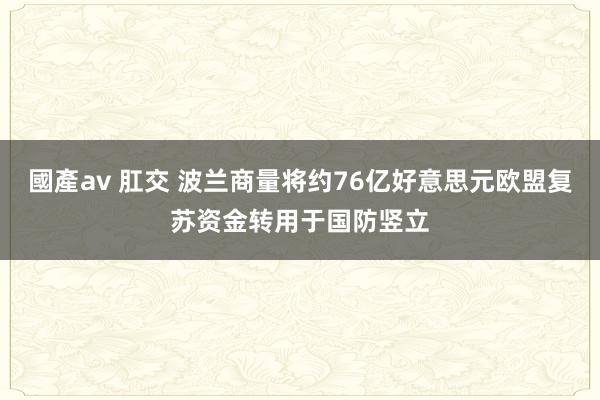 國產av 肛交 波兰商量将约76亿好意思元欧盟复苏资金转用于国防竖立