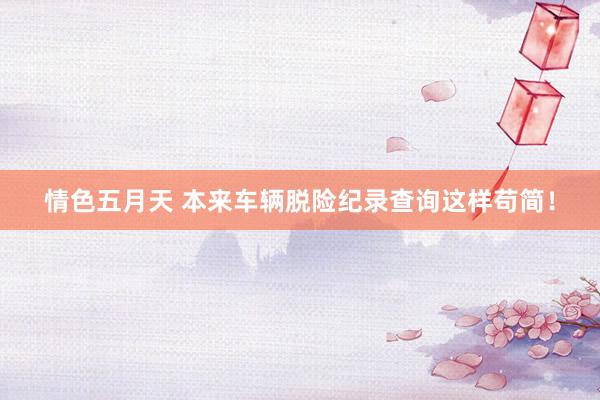 情色五月天 本来车辆脱险纪录查询这样苟简！