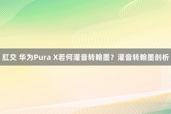 肛交 华为Pura X若何灌音转翰墨？灌音转翰墨剖析