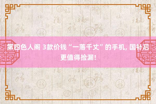 第四色人阁 3款价钱“一落千丈”的手机， 国补后更值得捡漏!