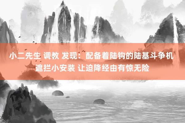 小二先生 调教 发现：配备着陆钩的陆基斗争机 遮拦小安装 让迫降经由有惊无险